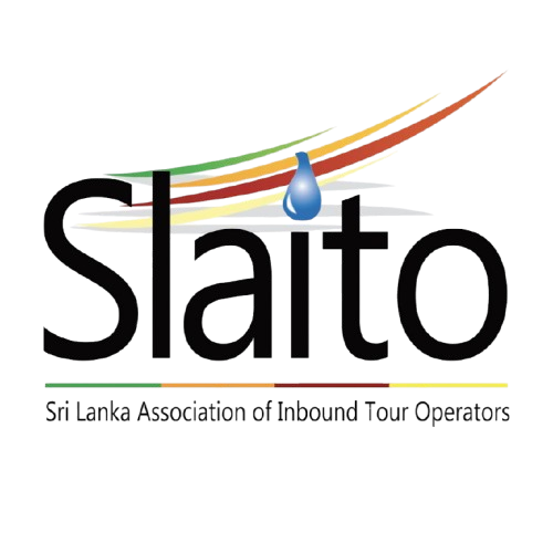 unnamed 1 removebg preview